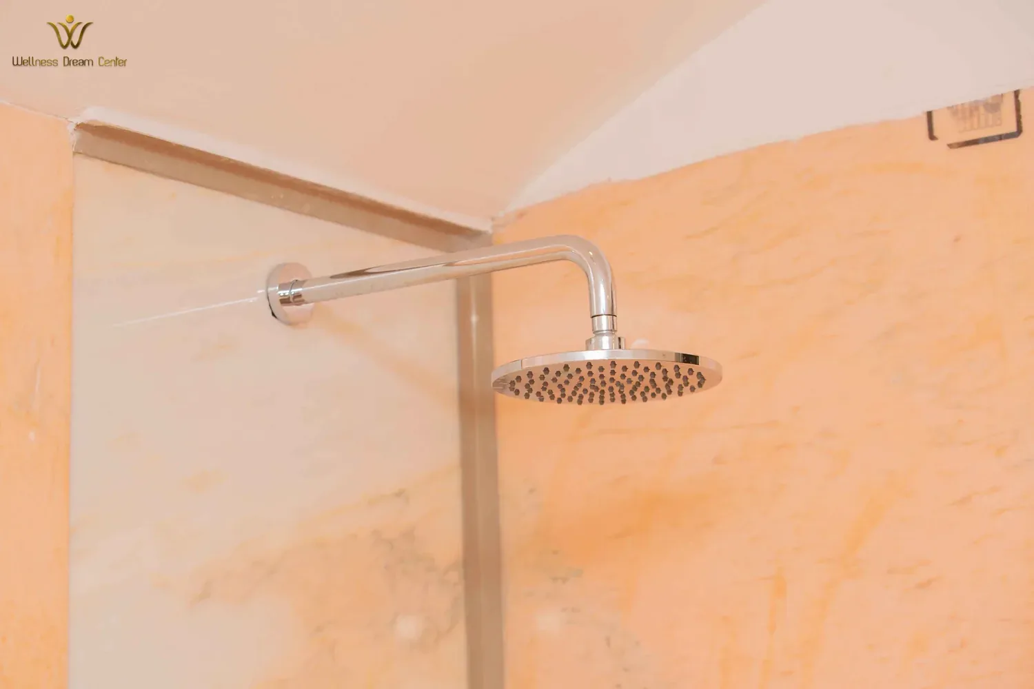 details — Wellness Dream Center