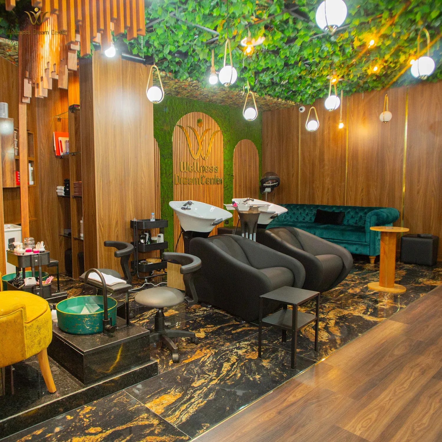 spaces — Wellness Dream Center