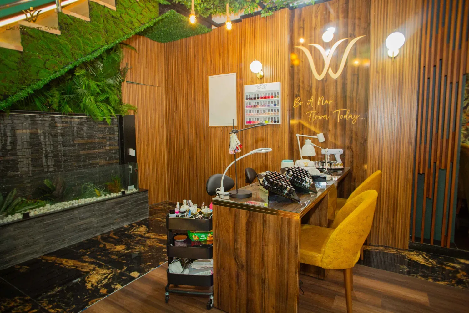 spaces — Wellness Dream Center