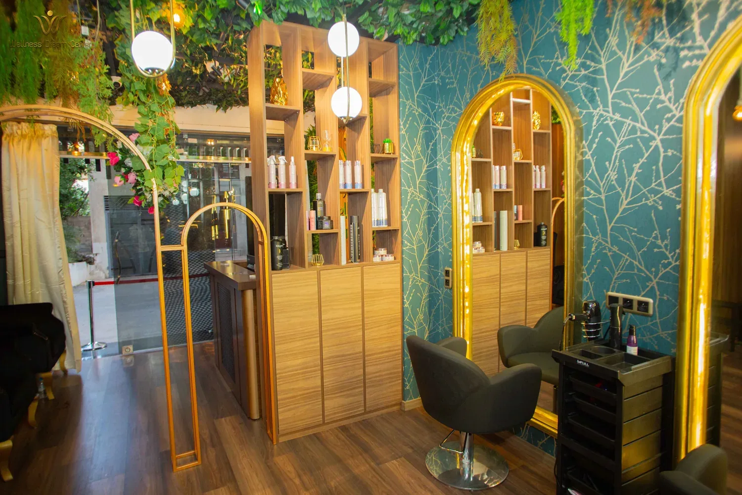 spaces — Wellness Dream Center