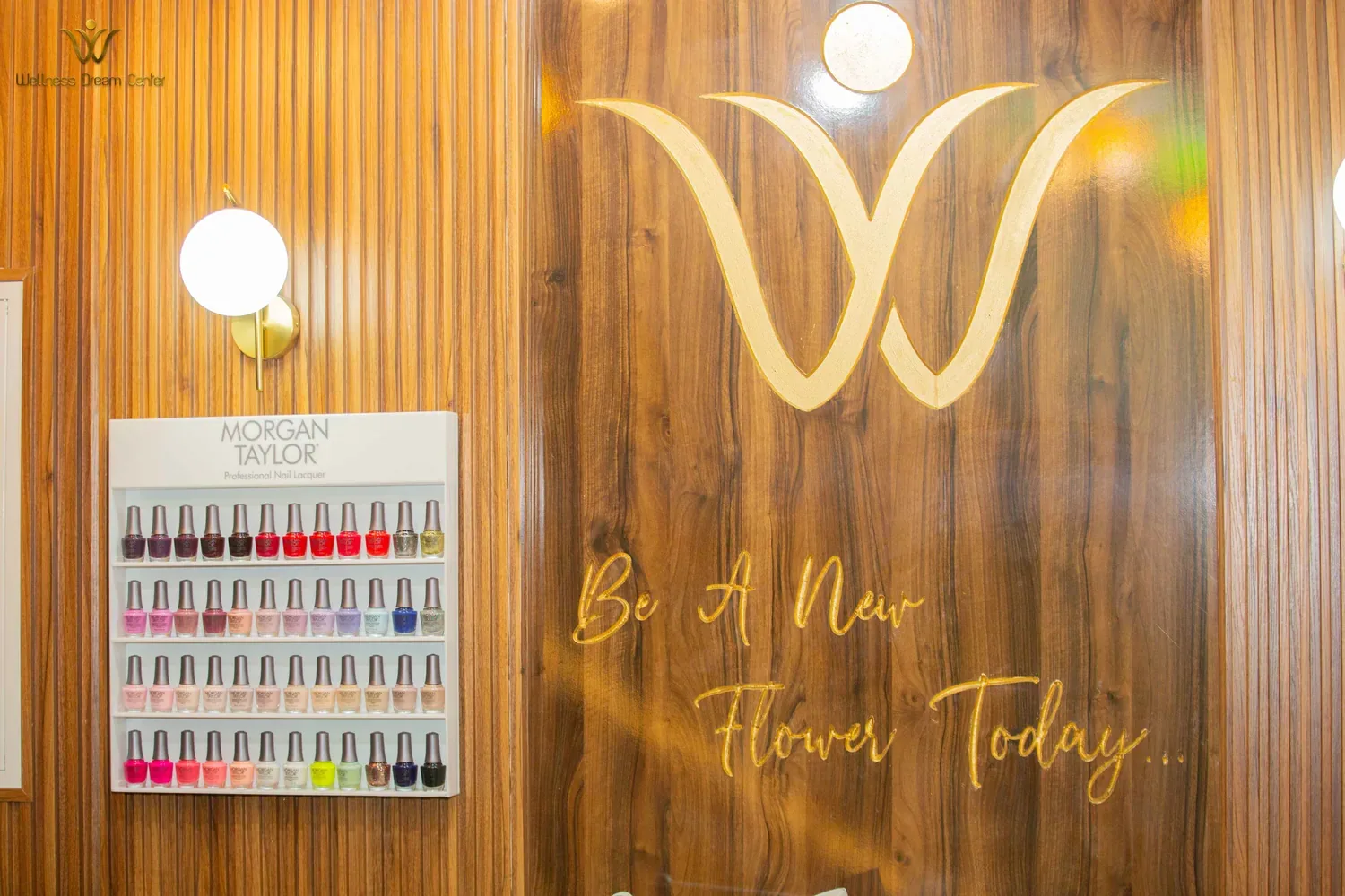 beauty — Wellness Dream Center